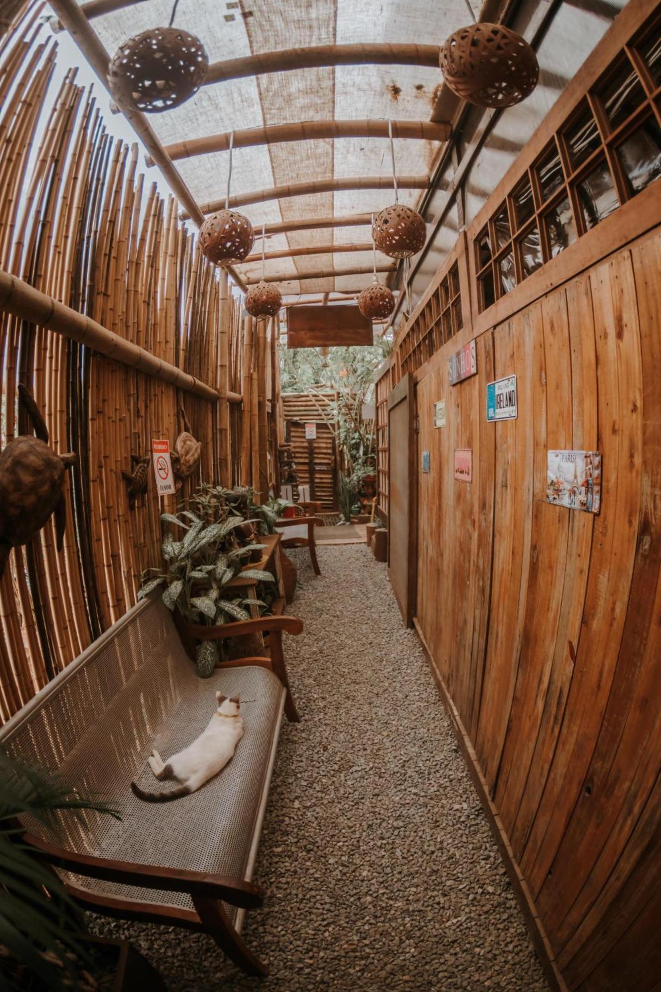 Doce Lar Hostel Noronha Фернанду-ди-Норонья Экстерьер фото